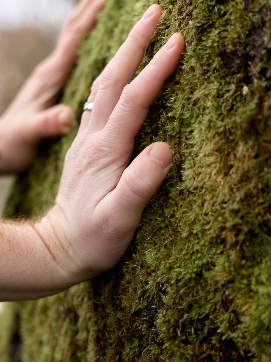 Two hands on a tree